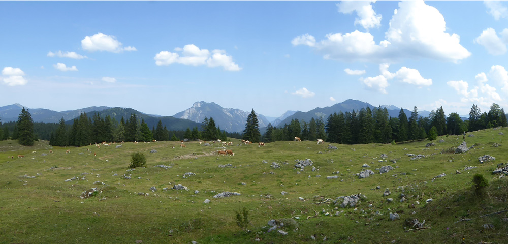 Walchsee_Alm_Panorama
