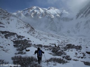 Trek to Nanga Parbat basecamp