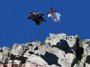 Wingsuit_1