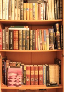 Regale voller Bücher in einer kleinen Haus-Bibliothek (Foto: Pavel Mylnikov).