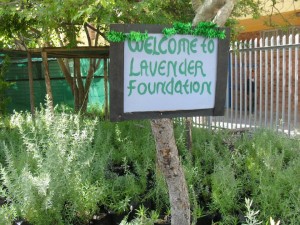 Lavender Foundation sign