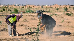 Farmers in Kurdistan