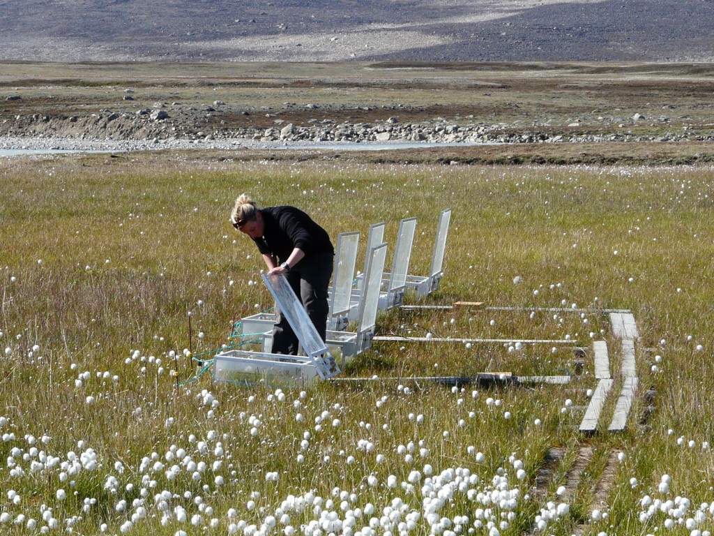 Scientists at measuring stations like the one I viisted at Zackenberg, Greenland, measure the amount of greenhouse gases emitted by melting permafrost.