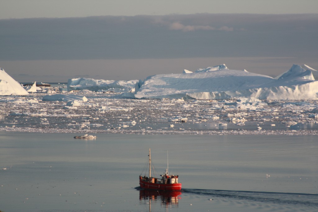 Boat and icebergs Greenland, Irene Quaile 2009