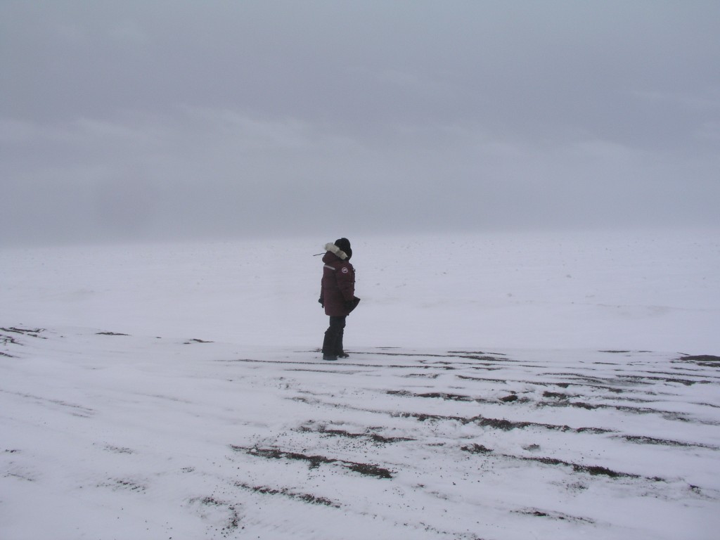 Visit to the site of a lost Inupiat village at Point Barrow, 2008 (Pic.: I.Quaile)