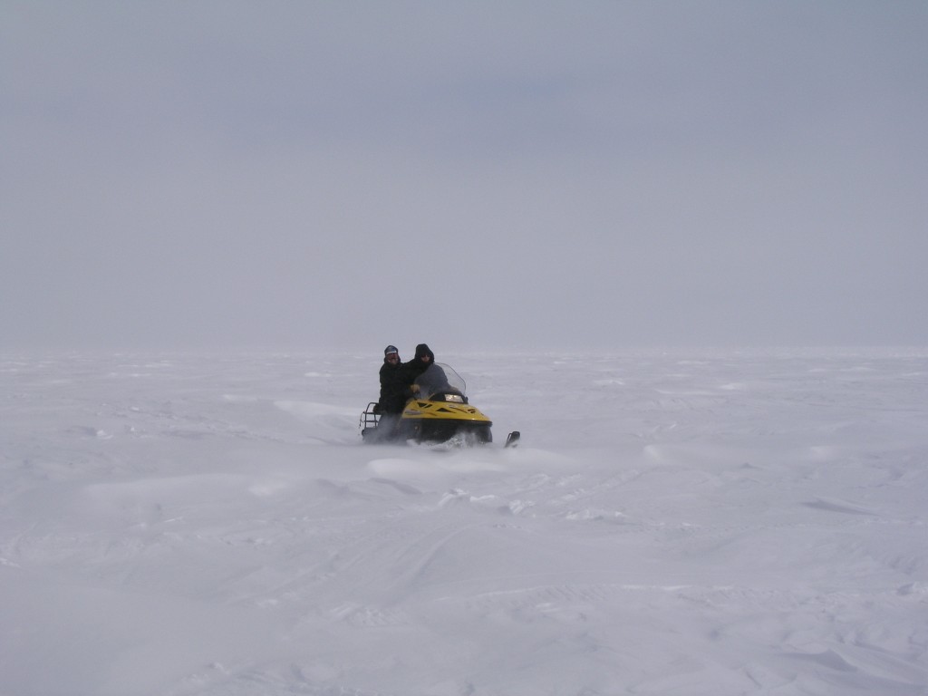 Ice free Arctic Barrow by 2020? (Pic. I.Quaile)
