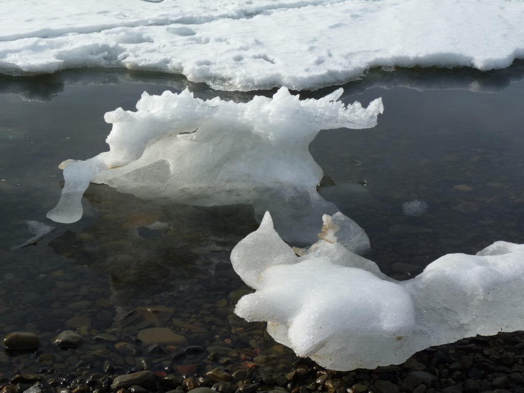 Dwindling ice... a reminder to COP21 (Pic: I.Quaile)