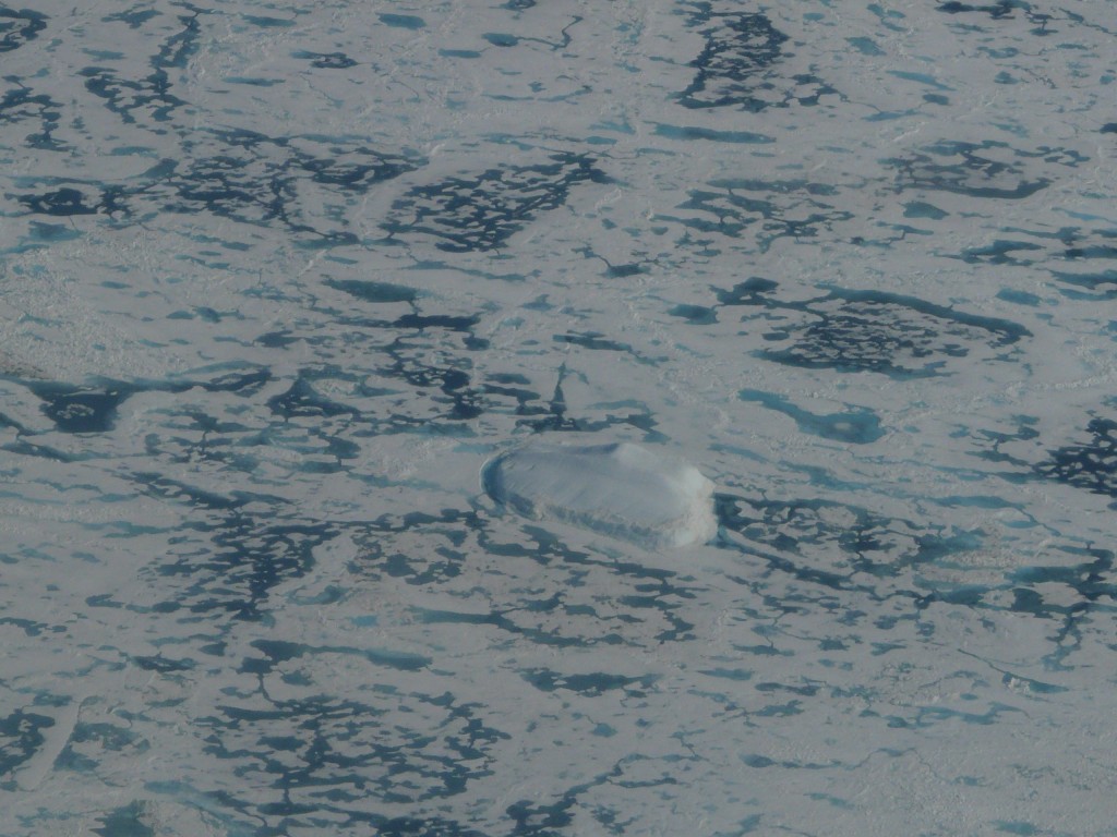 Sea ice off Greenland