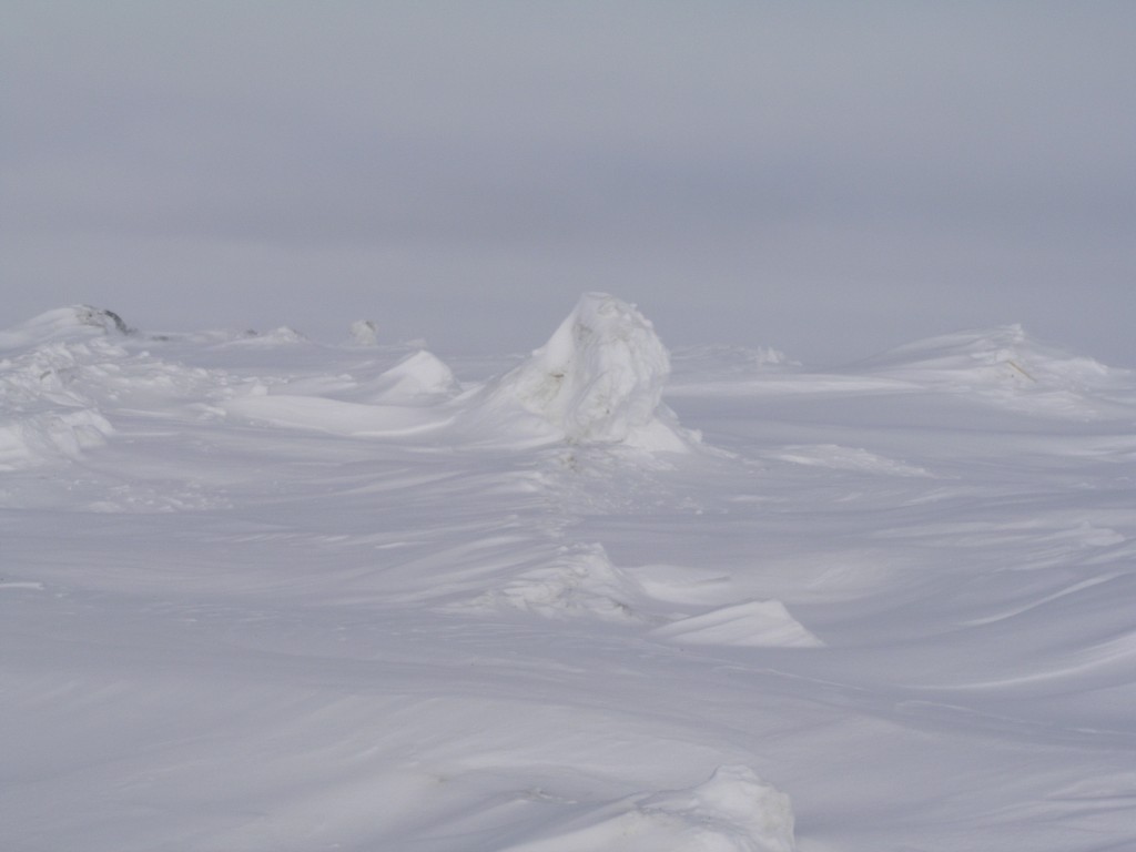 Beautiful when frozen:  Chukchi Sea, Barrow, Alaska (Pic: I.Quaile)