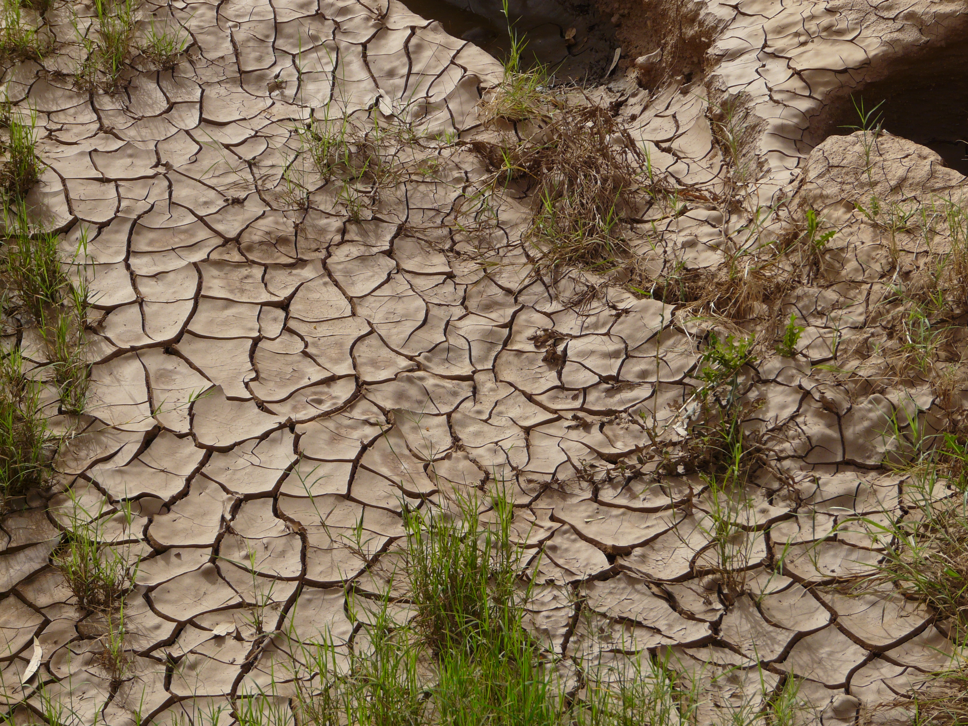 Australia dried up riverbed