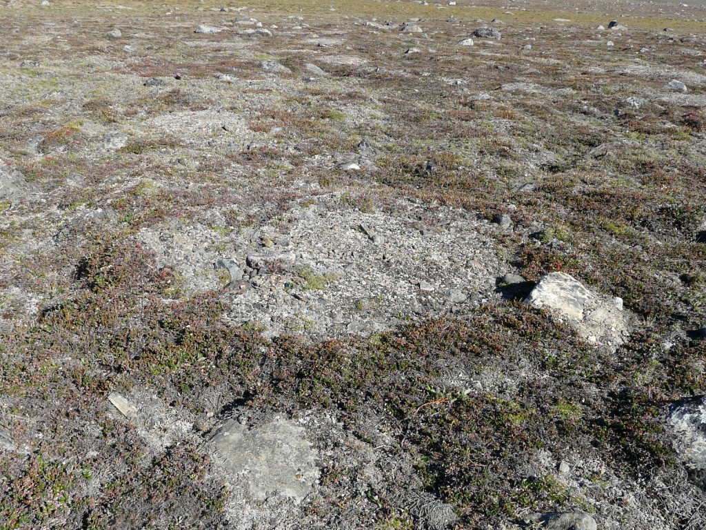 Permafrost structures in Greenland (Pic: I.Quaile)