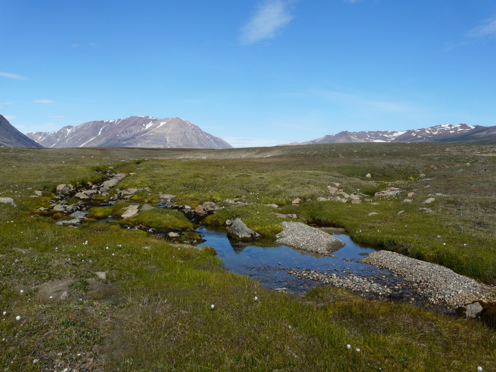 Arctic freswater systems are changing with the climate. (Pic: I.Quail)