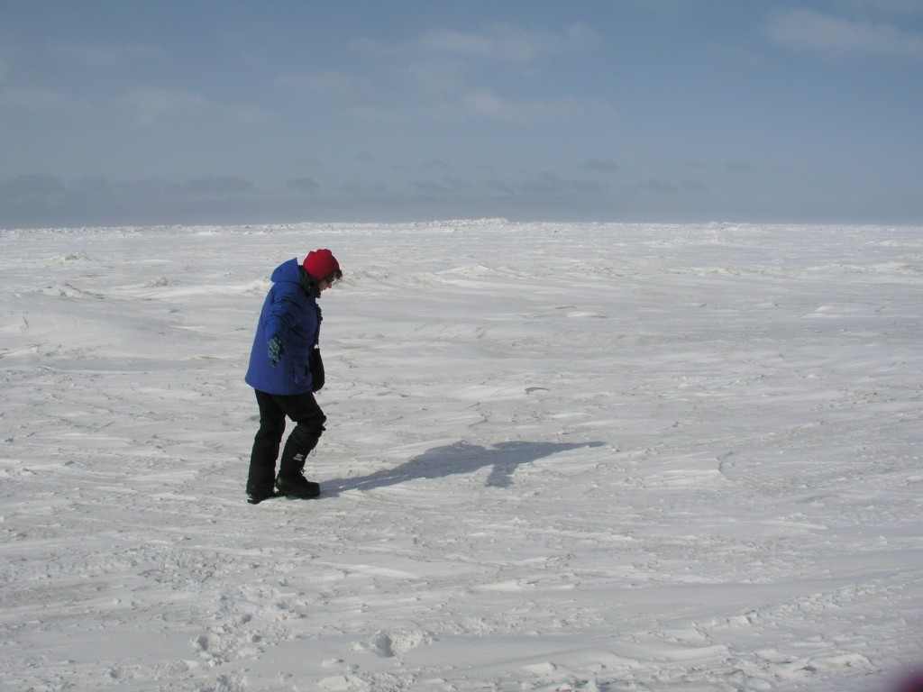 Sea ice can be very thick...(Pic: I.Quaile)