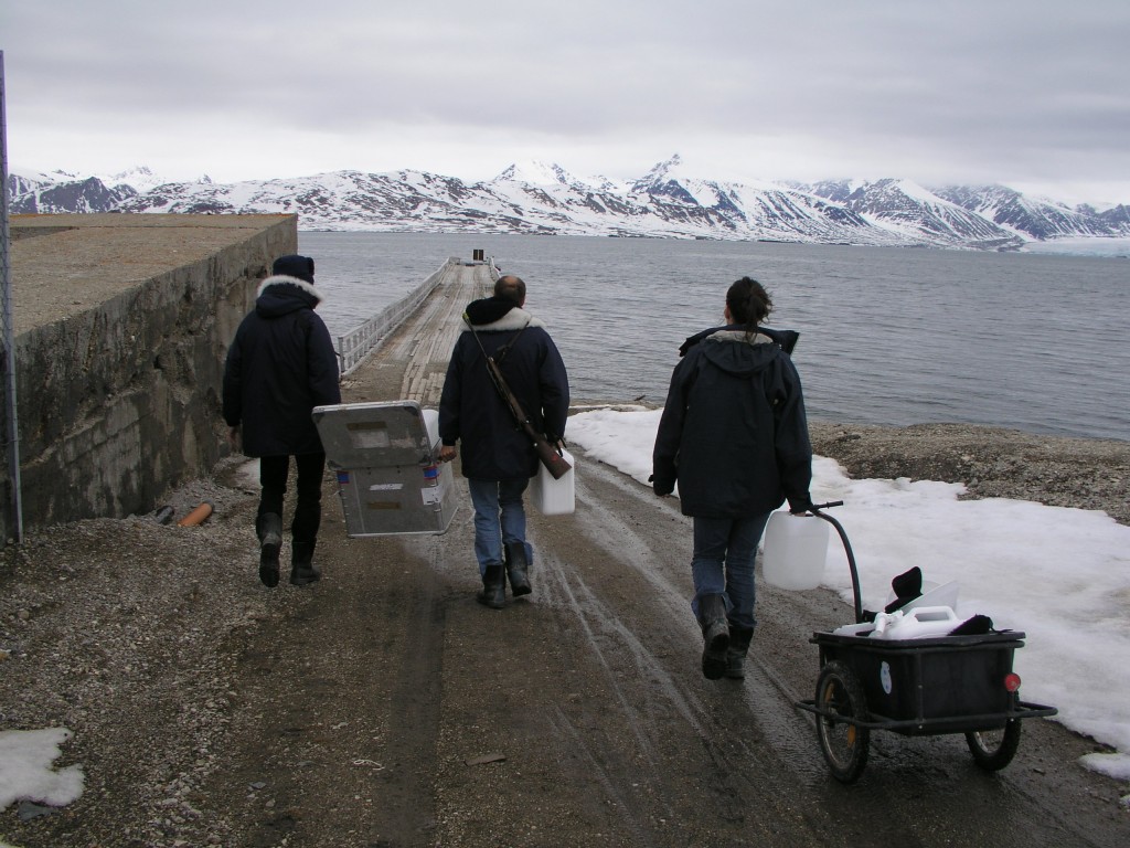 Can Arctic marine biologists work fast enough to keep up with climate change? (Ny Alesund, Pic: I.Quaile)