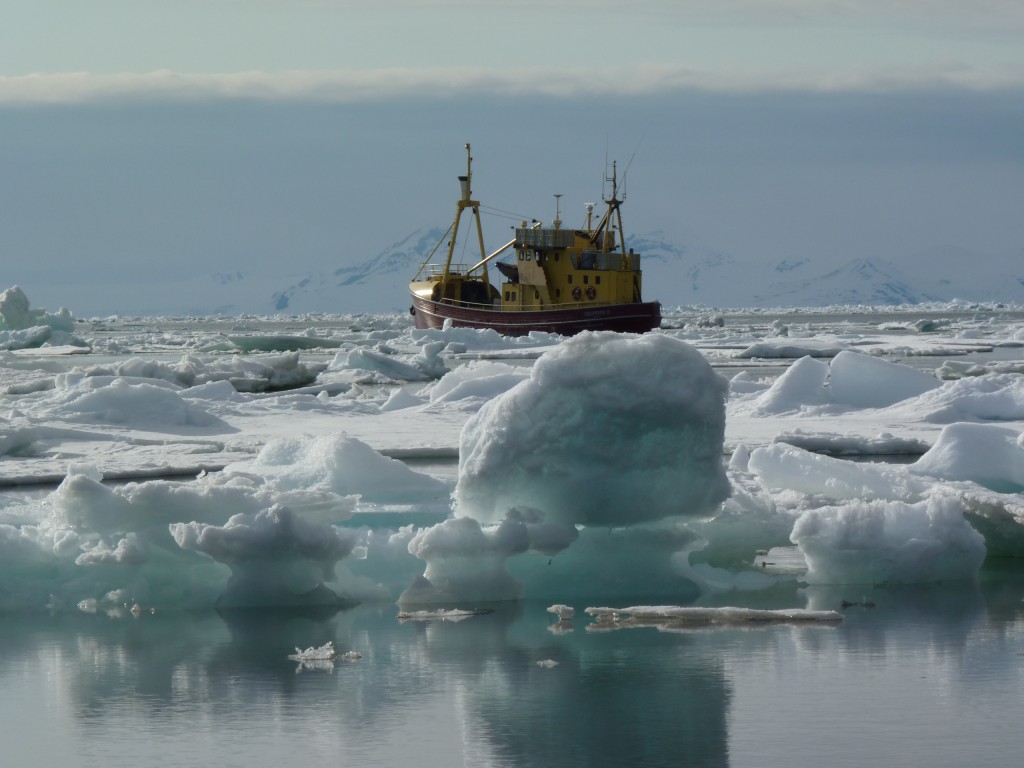 ship in icebergs off Spitsbergen by Irene Quaile