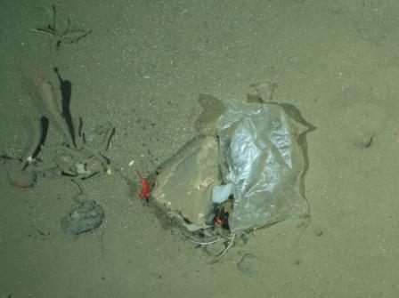Plastic bag at the HAUSGARTEN, the deepsea observatory of the Alfred Wegener Institute in the Fram Strait. This image was taken by the OFOS camera system in a depth of 2500 m. Photo: Alfred-Wegener-Institut/Melanie Bergmann/OFOS