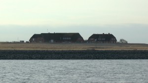 zwei norddeutsche Bauernhäuser auf einer Marschinsel im Wattenmeer der Nordsee