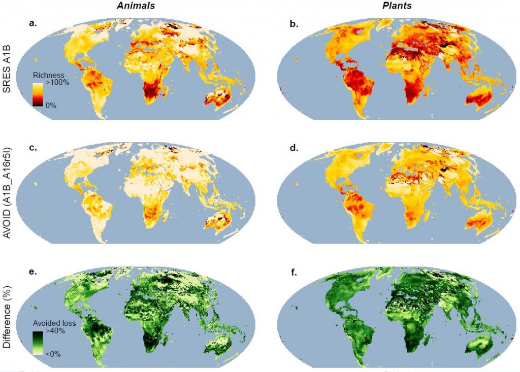 biodiversity-loss-global-ideas-blog-dw-com