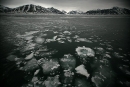 ice floes