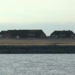 zwei norddeutsche Bauernhäuser auf einer Marschinsel im Wattenmeer der Nordsee